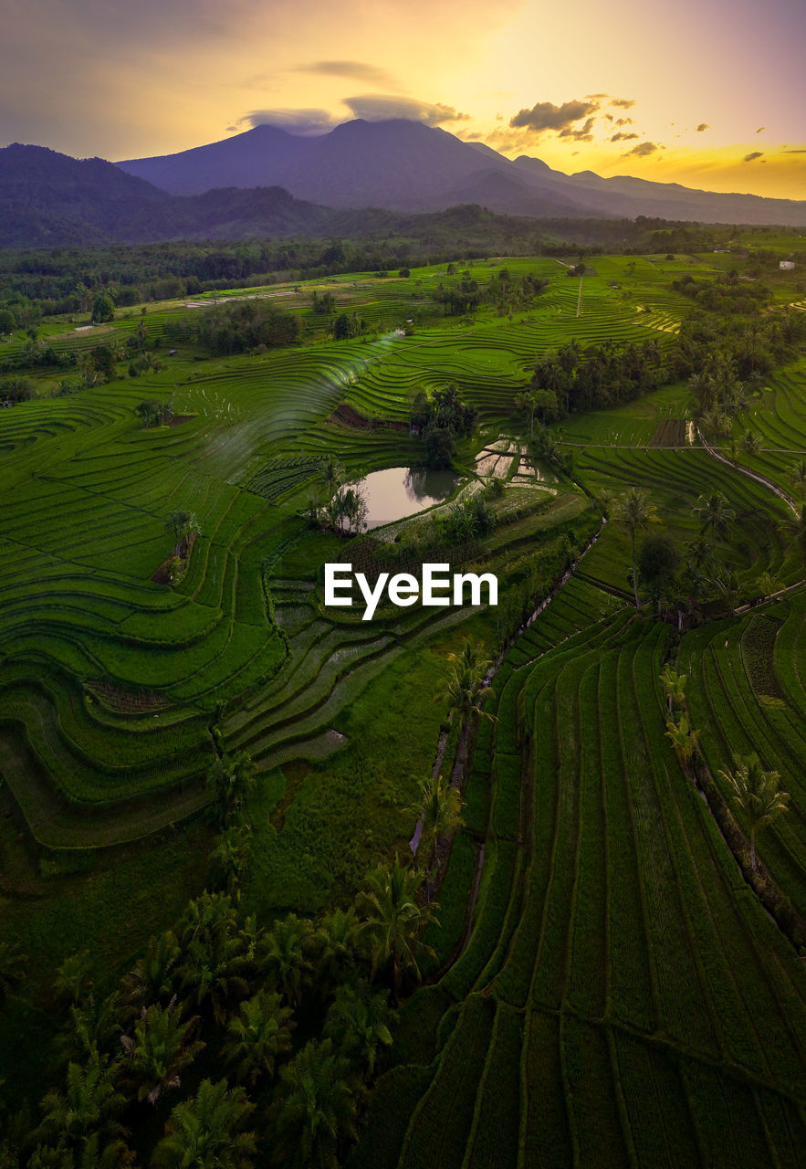 Aerial view of indonesian rural area with mountains and rice fields in the morning