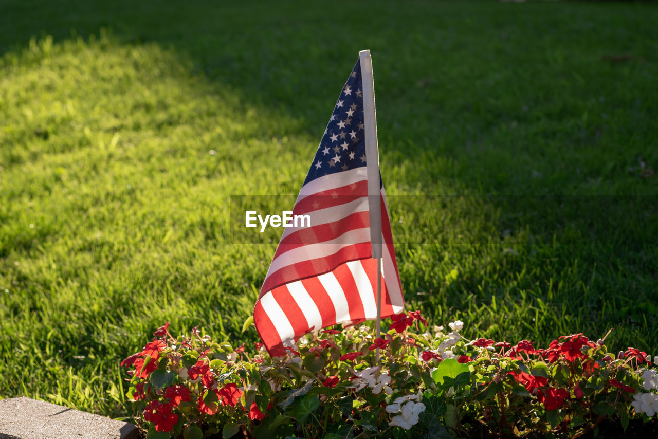 Single us flag in sunlight with flowers along sidewalk