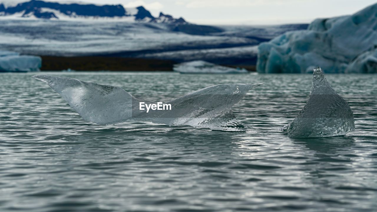 Scenic view of lake during winter