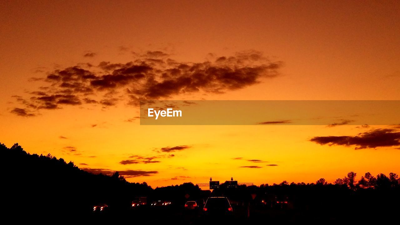 SILHOUETTE OF TREES AT SUNSET