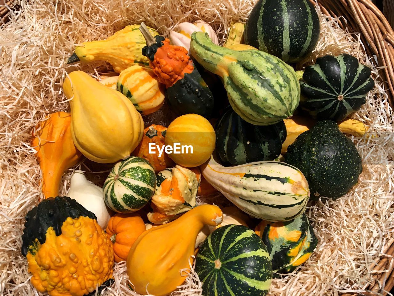 HIGH ANGLE VIEW OF VARIOUS PUMPKINS