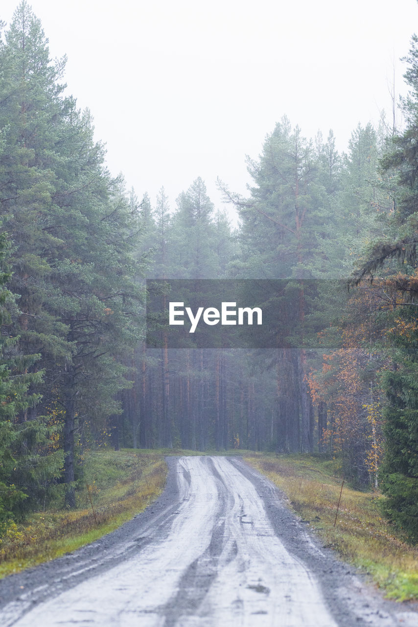 Road amidst trees in forest against clear sky