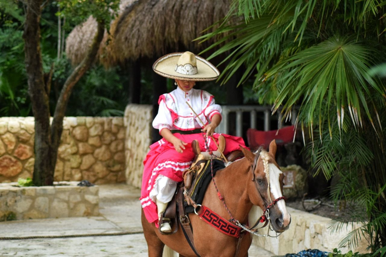 MAN RIDING HORSE WITH PALM TREES