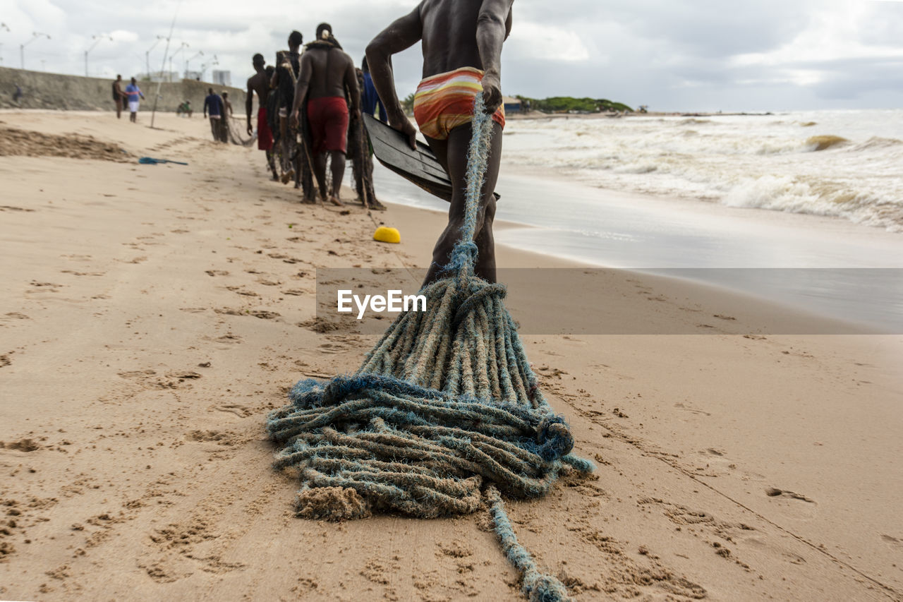 Fishermen taking the big net to the colony.