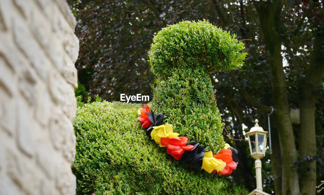 Low angle view of topiary in park