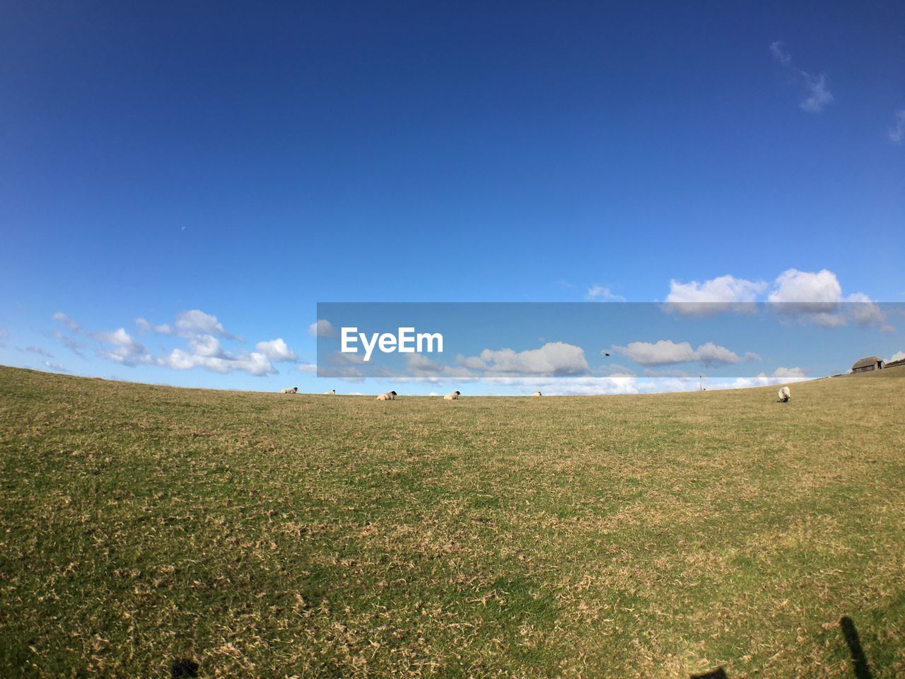 SCENIC VIEW OF LAND AGAINST SKY