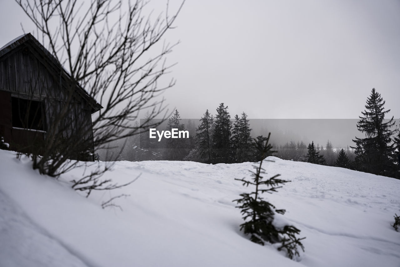 SCENIC VIEW OF SNOW COVERED LANDSCAPE