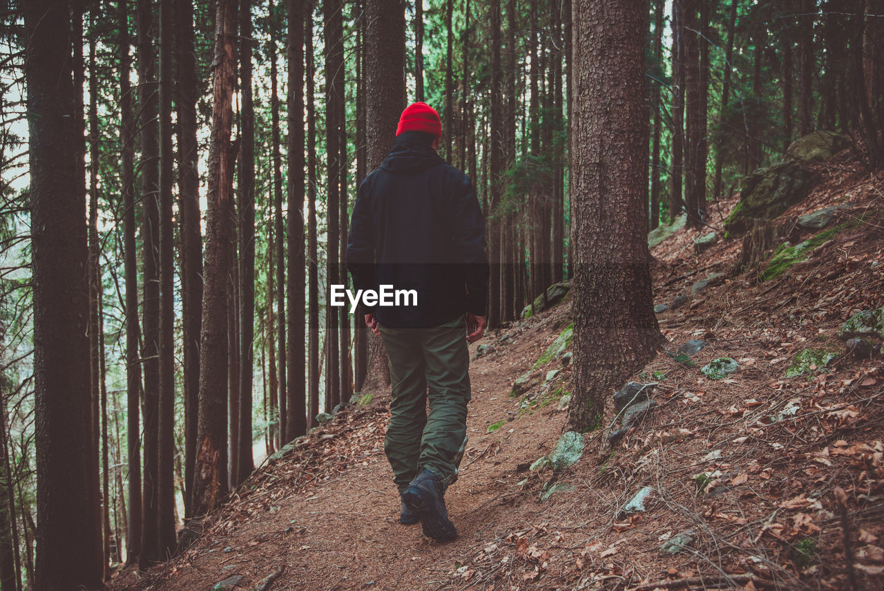 A man walking in the woods thinking concept of relaxing activity and escape from the city