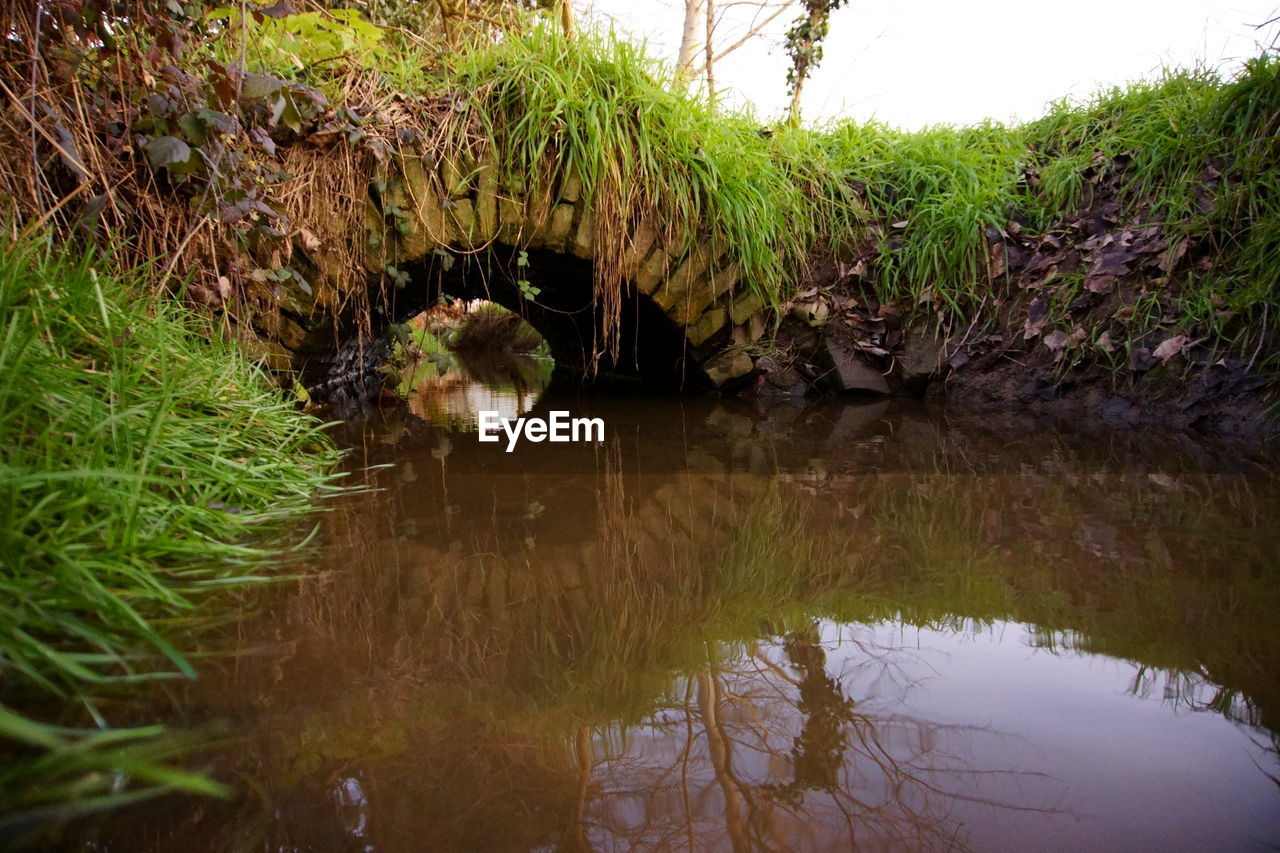 SCENIC VIEW OF LAKE