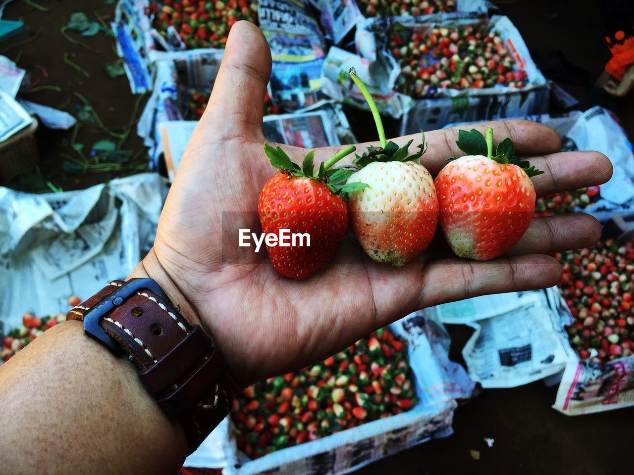 Close-up of man holding strawberries