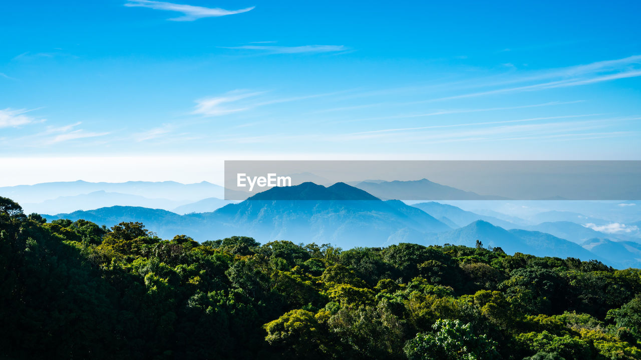 SCENIC VIEW OF TREE MOUNTAINS AGAINST SKY