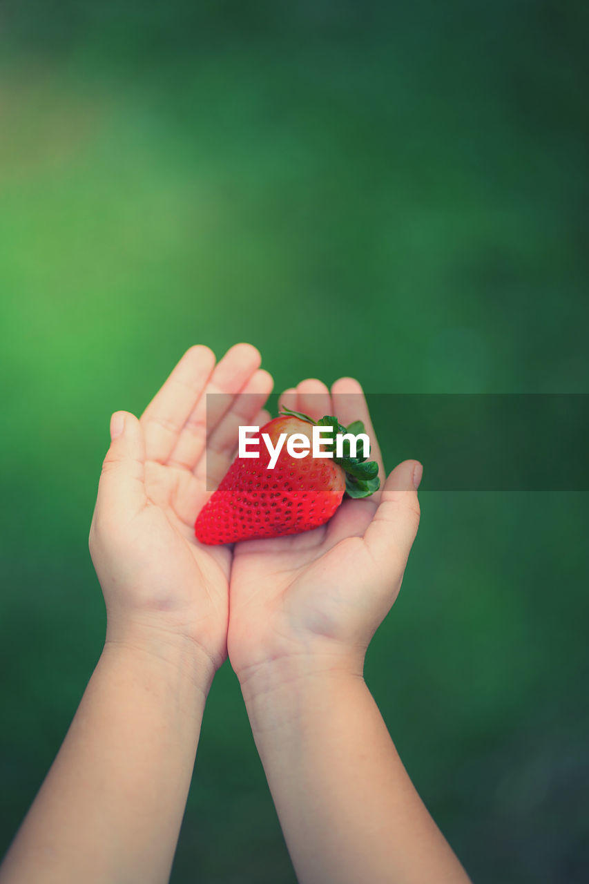 Close-up of hand holding strawberry