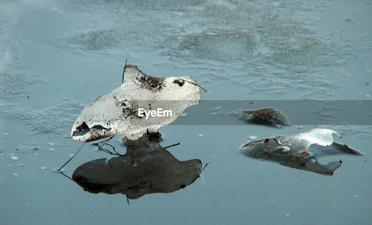 Ice surface at a lake