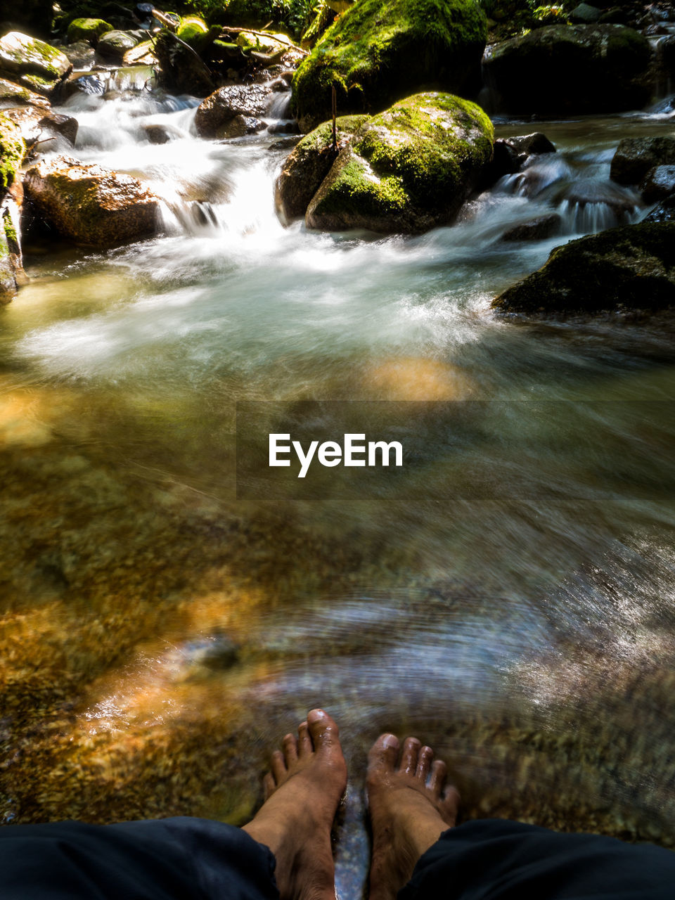 Low section of man sitting by stream in forest