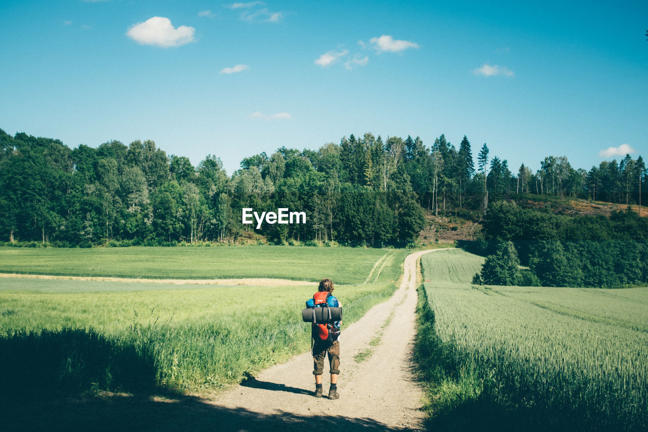 Rear view of man walking on footpath amidst grassy field against sky