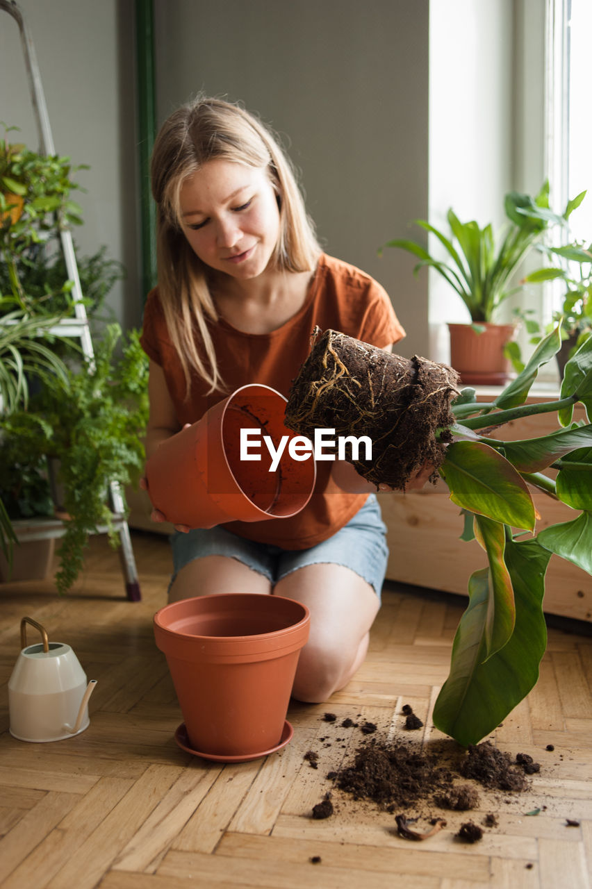 Woman holds in hand plant with roots in soil which took out from pot