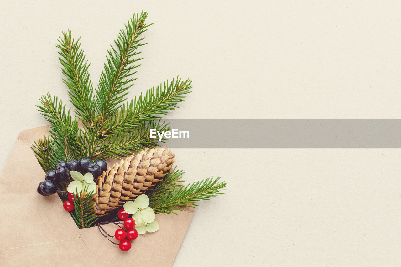 Christmas decoration, fir tree branch in envelope on kraft paper background, copy space