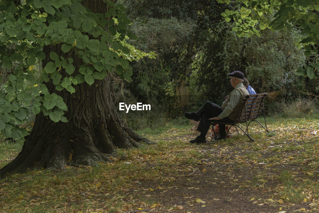 MAN SITTING IN THE FOREST