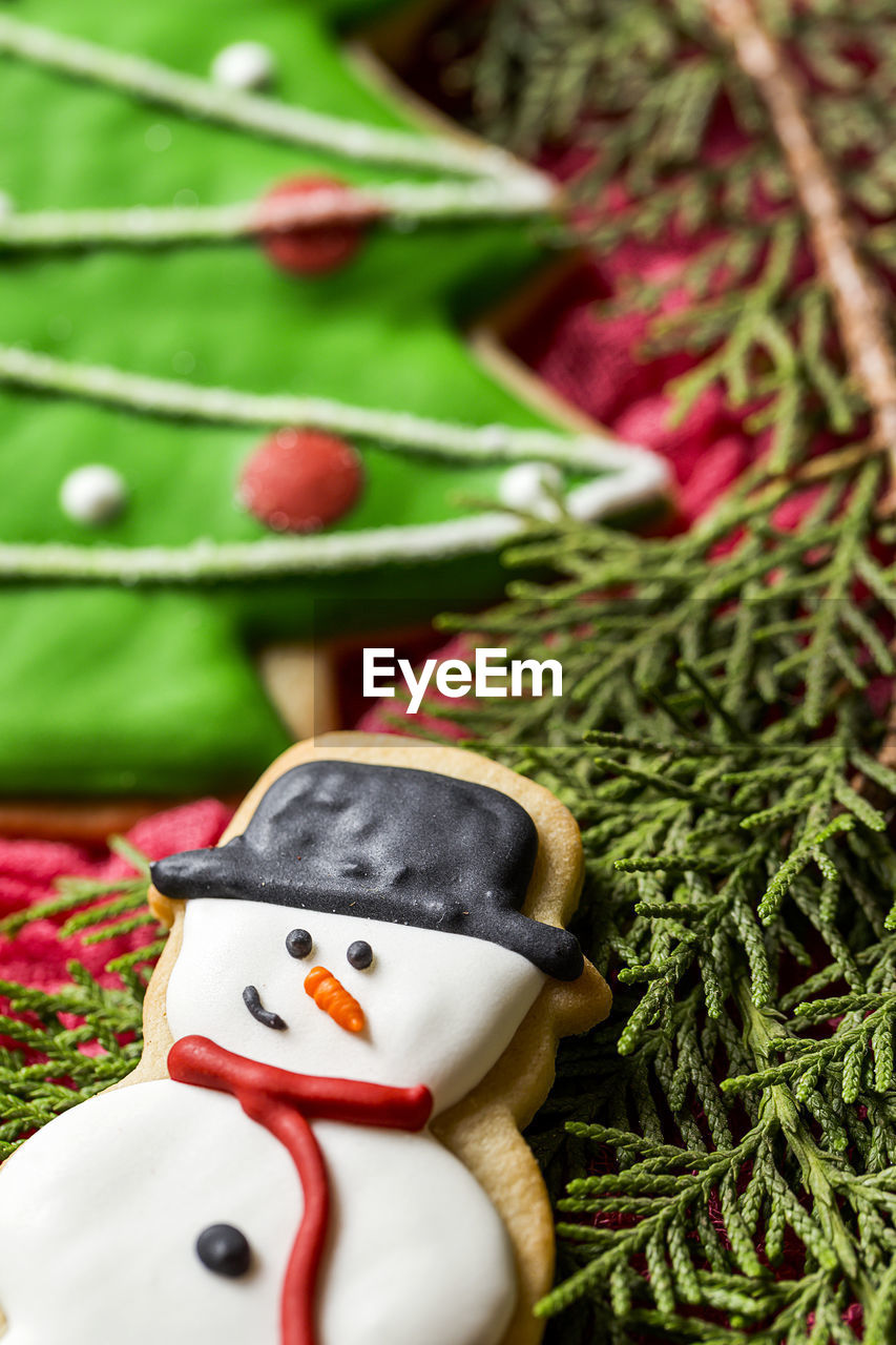 Close-up of cookies on christmas tree