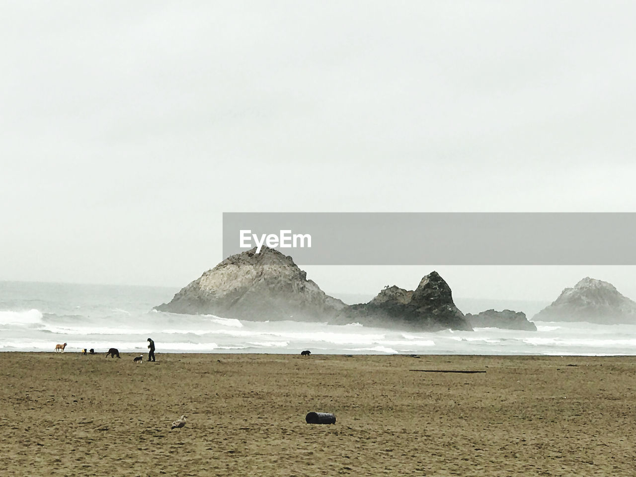 Scenic view of beach against clear sky