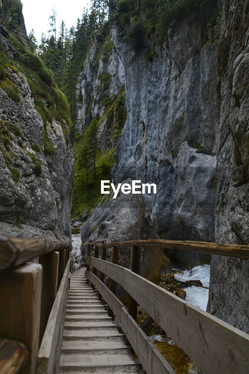 Bridge over rocks against trees