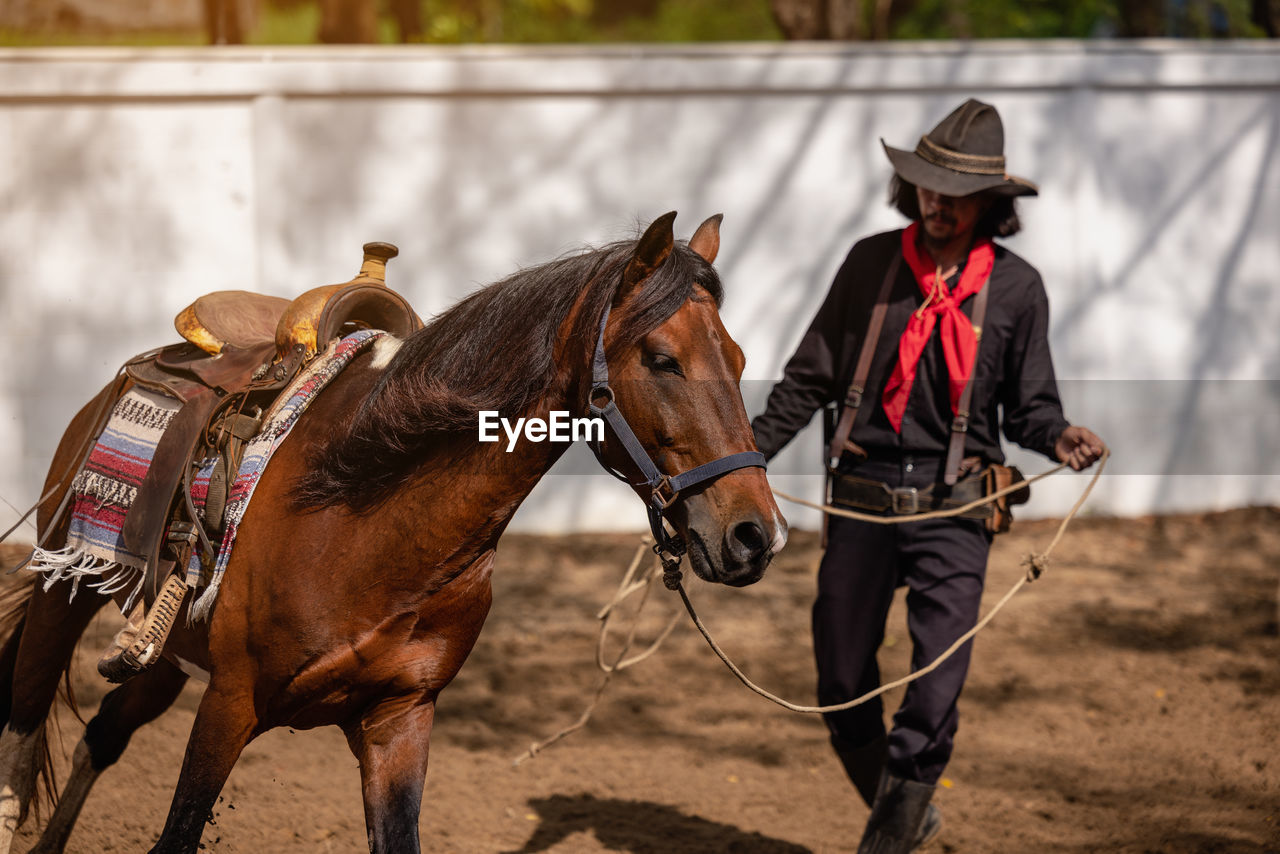 In an outdoor barn, one man dressed as a cowboy trains his horse to run in a circle around him.