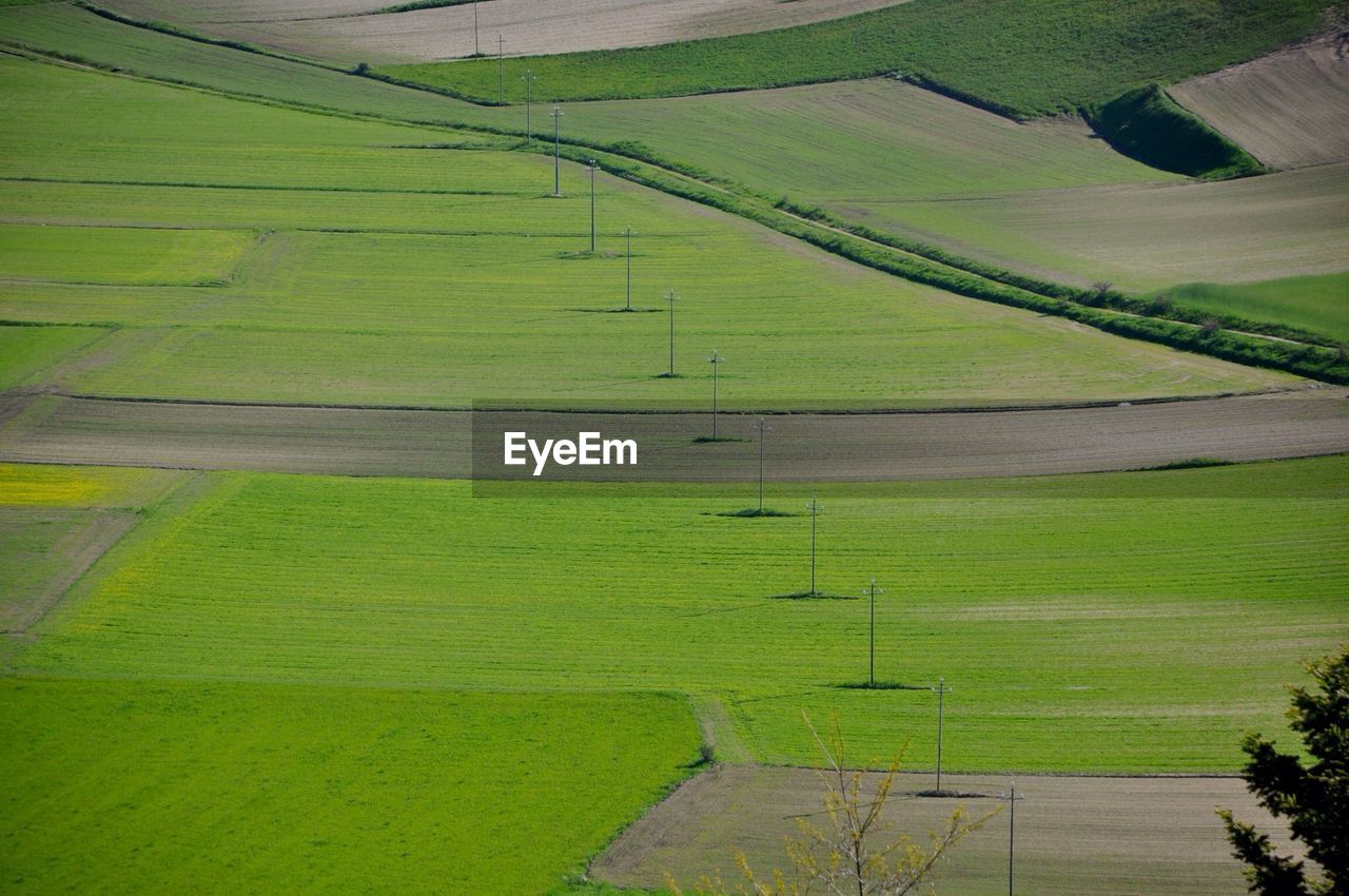 Scenic view of grassy landscape