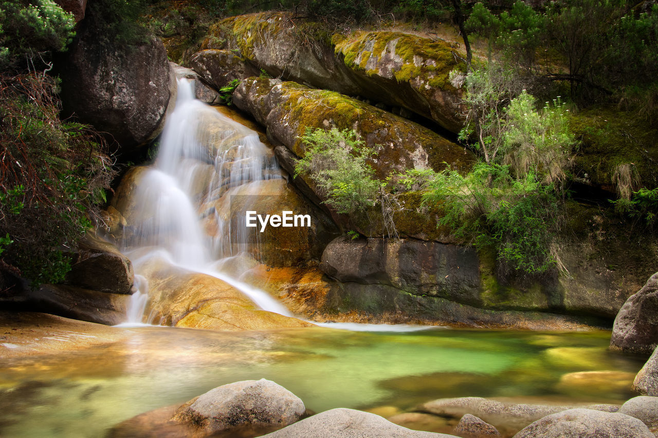 Long exposure scenic view of waterfall in forest