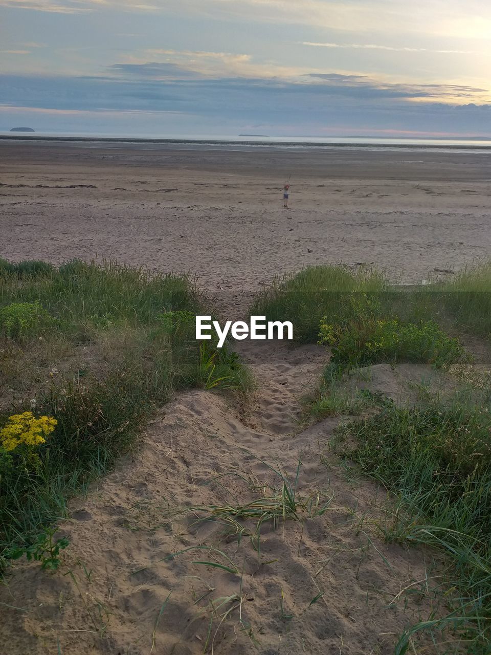 SCENIC VIEW OF BEACH