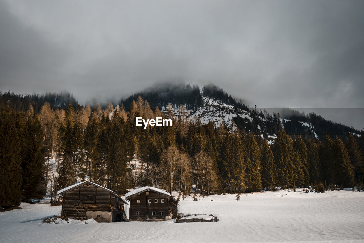 Scenic view of snow covered land and trees against sky