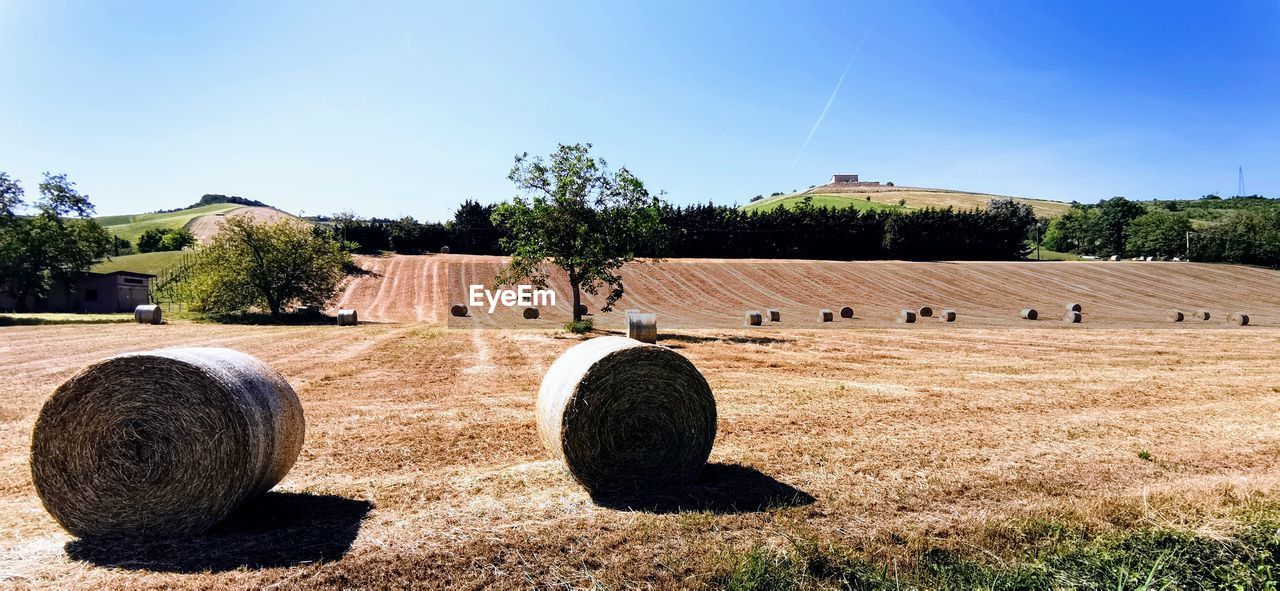 bale, hay, plant, agriculture, sky, landscape, nature, field, farm, rural scene, tree, land, straw, rural area, rolled up, harvesting, no people, soil, environment, sunlight, grass, day, circle, haystack, shape, outdoors, geometric shape, sunny, tranquility, tranquil scene, scenics - nature, beauty in nature, crop
