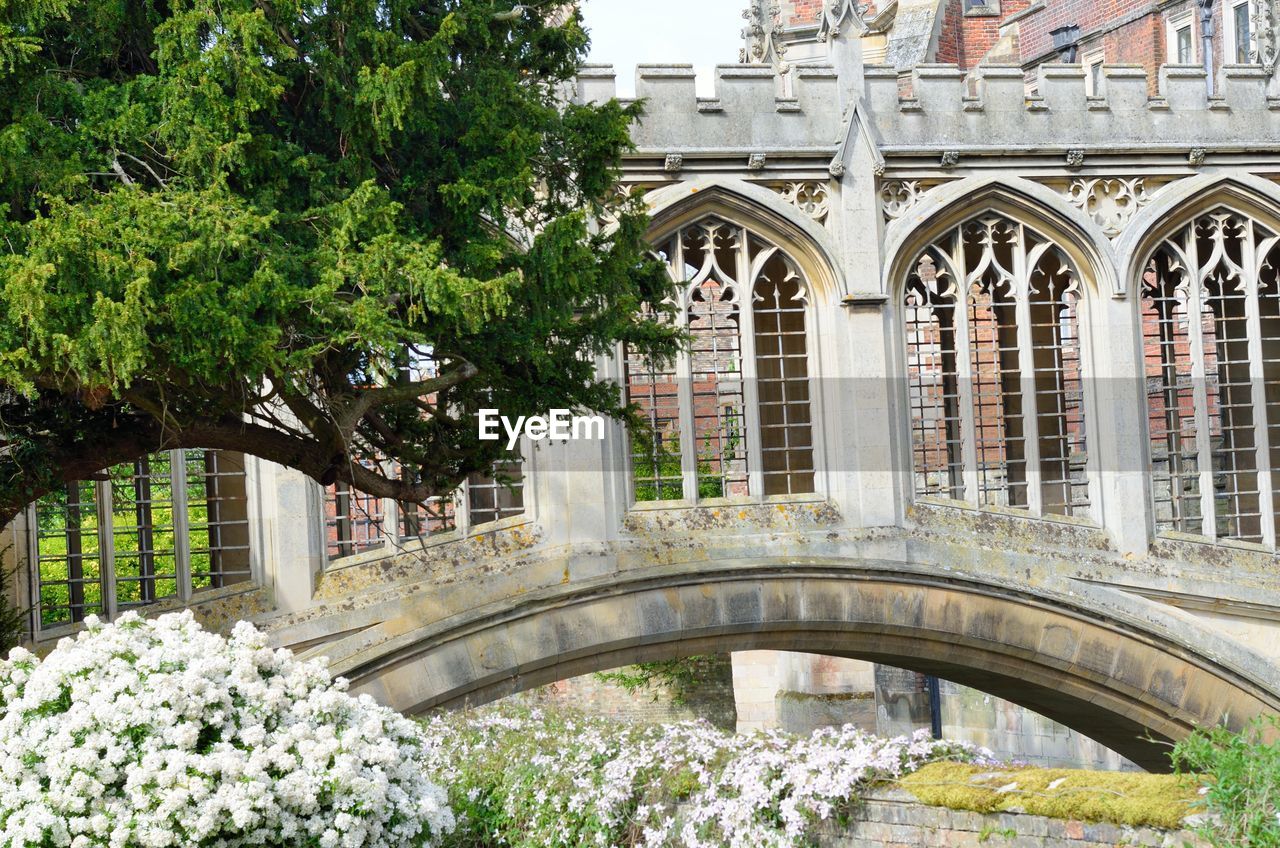 ARCH BRIDGE OVER CANAL BY BUILDING