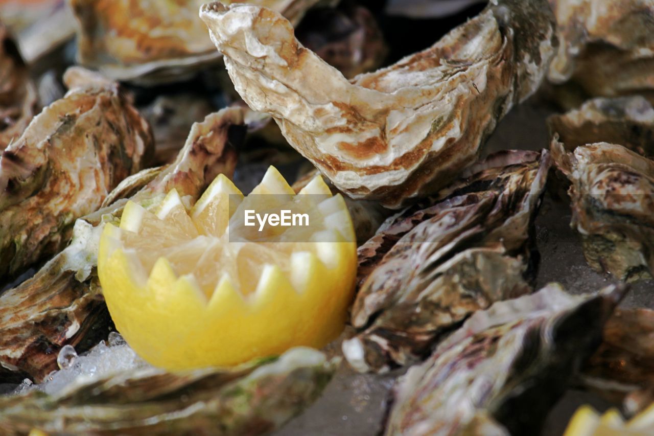 Close-up of oyster with lemon