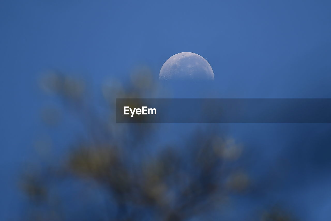 LOW ANGLE VIEW OF MOON IN SKY AT NIGHT