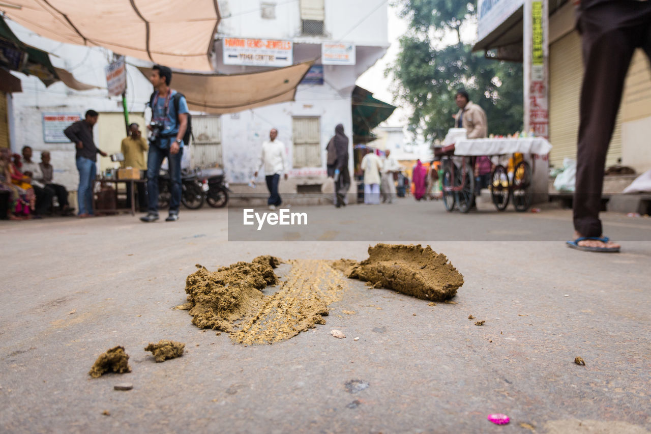 Animal dung on street