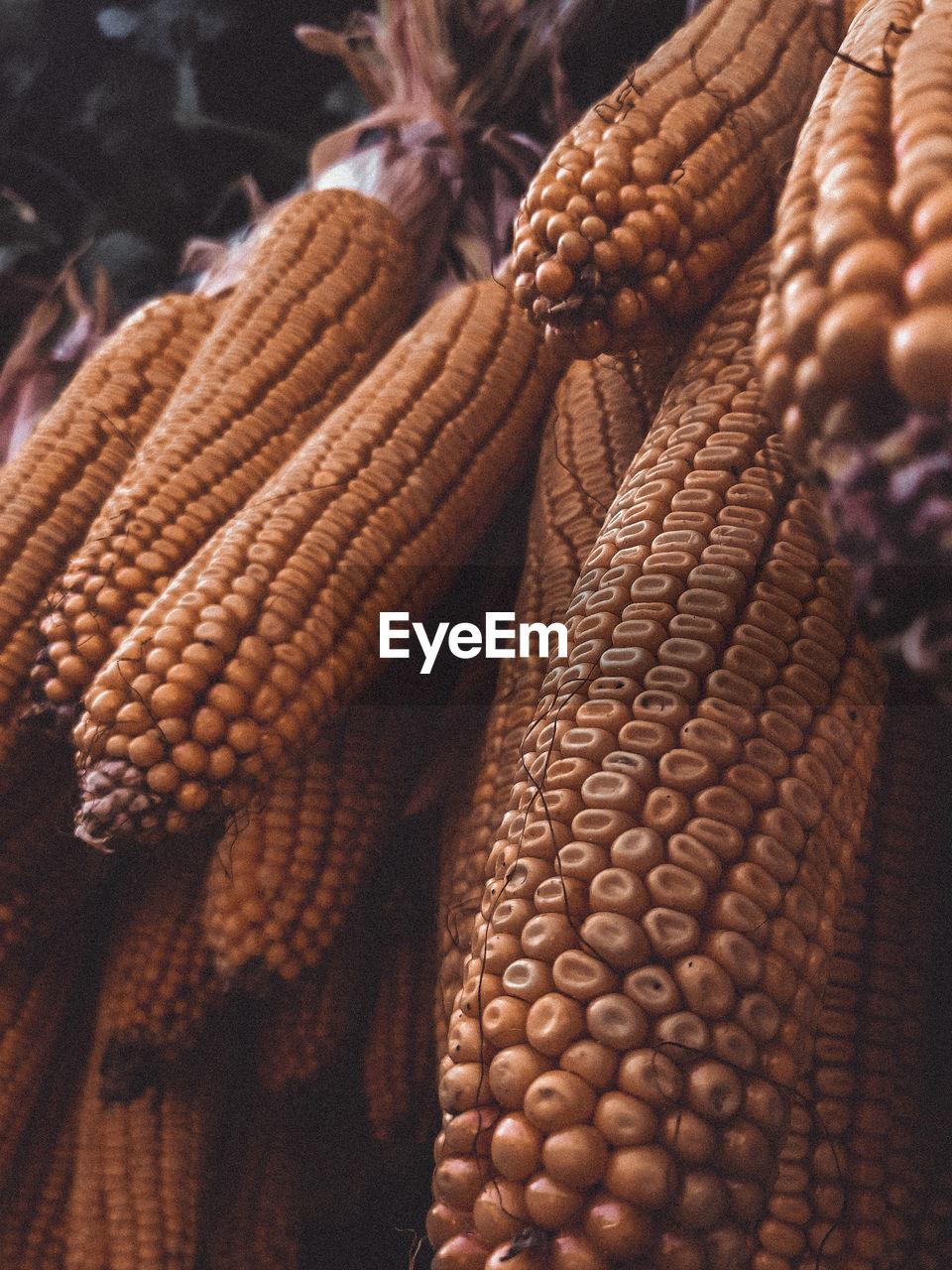 Close-up of dried fruits hanging at market stall