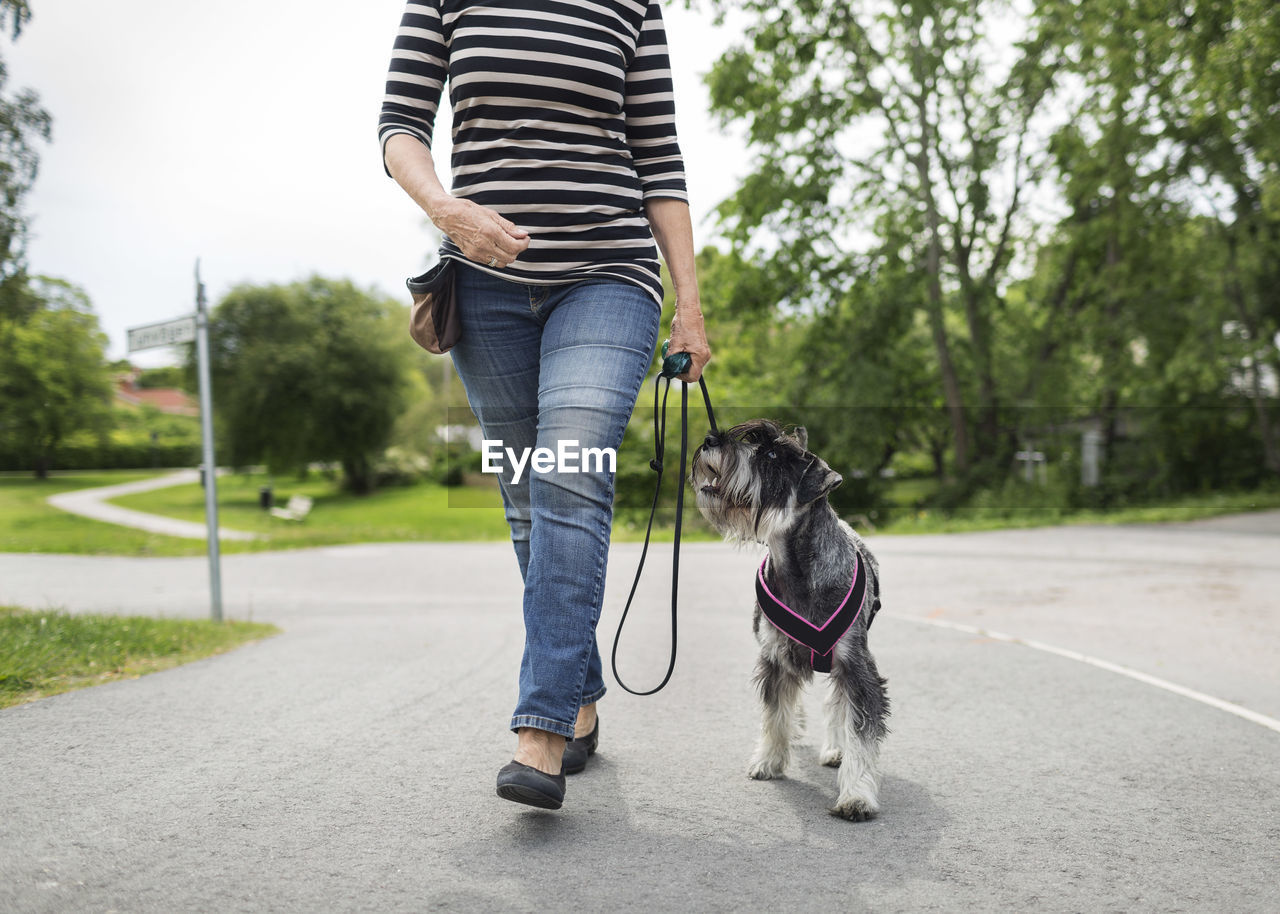 Low section of senior woman walking with dog on street