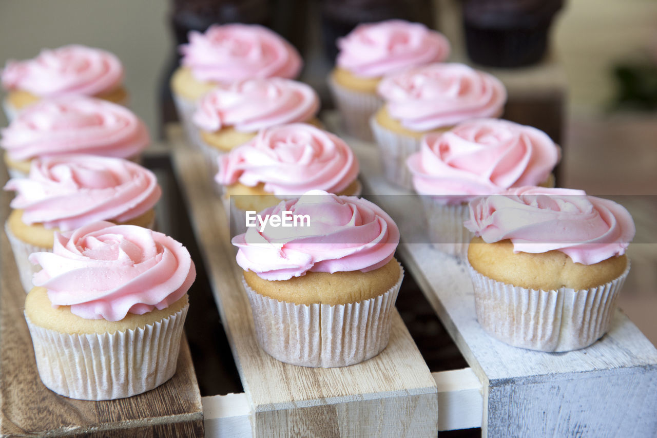 CLOSE-UP OF CUPCAKES ON PINK ROSES
