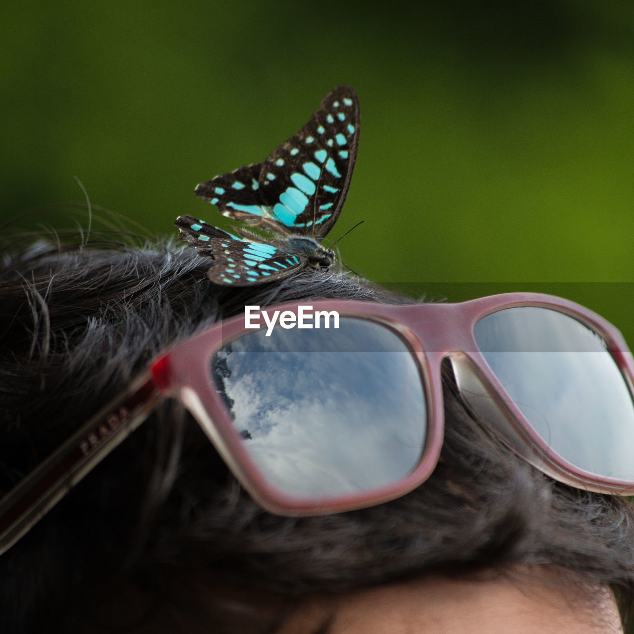 CLOSE-UP OF BUTTERFLY ON SUNGLASSES AGAINST GREEN LEAF