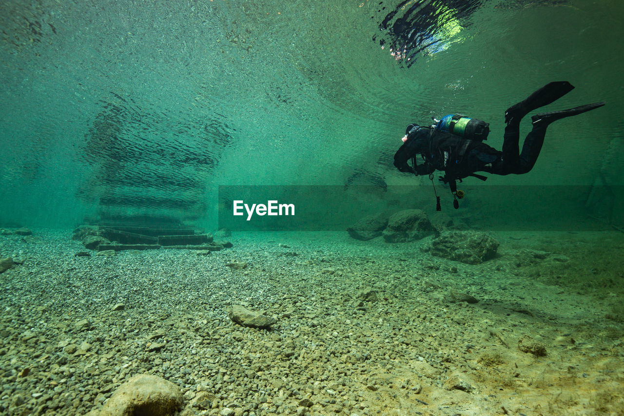 People diving in sea 