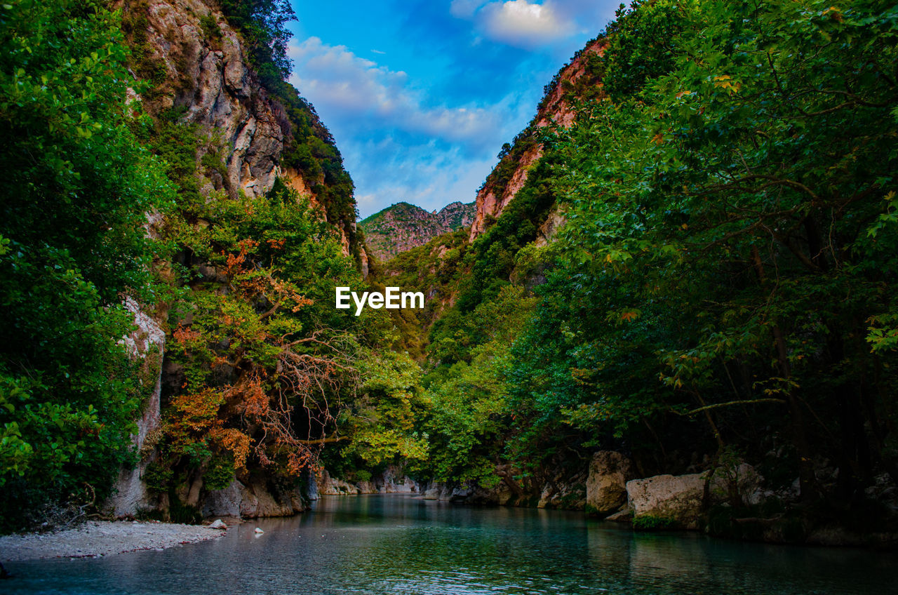 Scenic view of lake by trees against sky