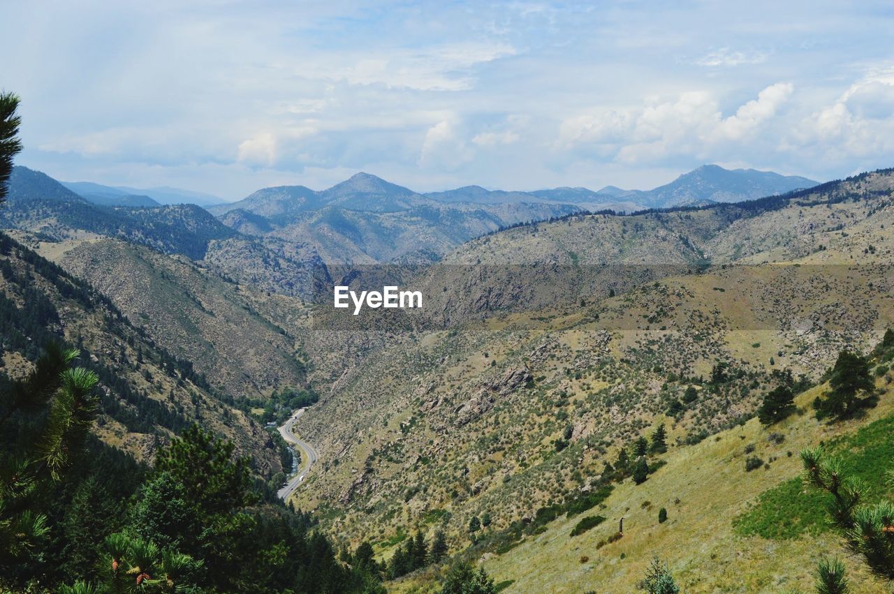 HIGH ANGLE VIEW OF TREES ON LANDSCAPE AGAINST SKY