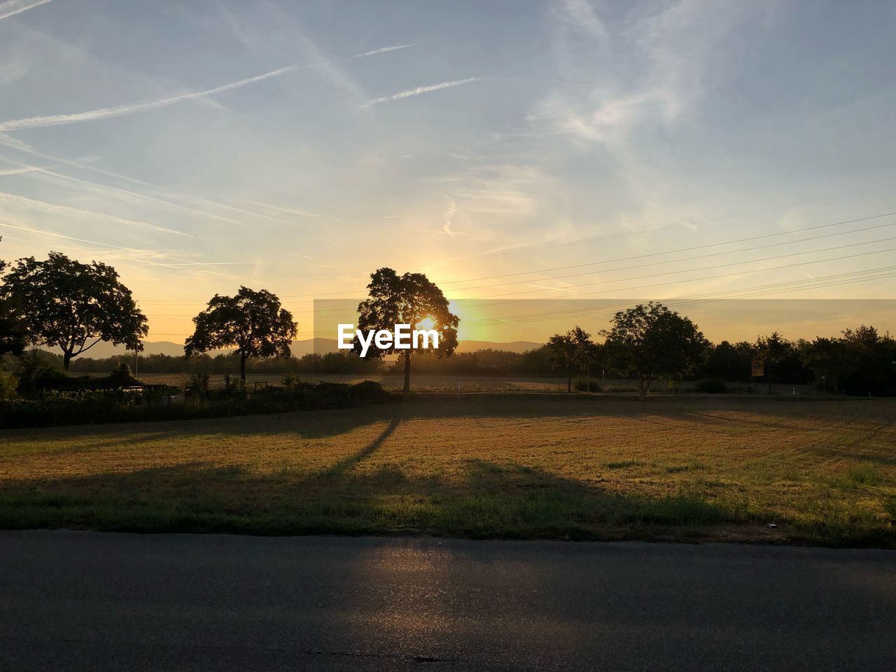 TREES ON FIELD AGAINST SKY DURING SUNSET