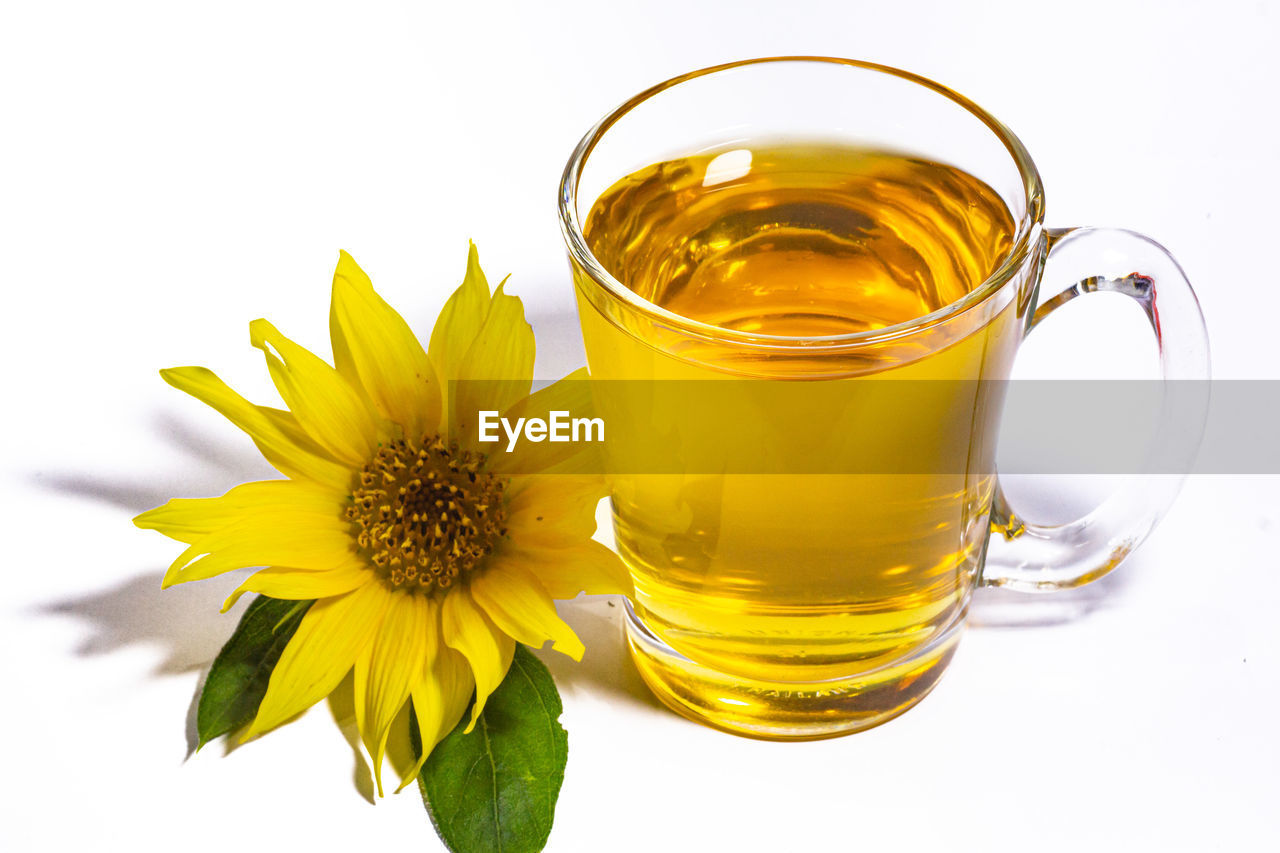 CLOSE-UP OF YELLOW FLOWER IN GLASS