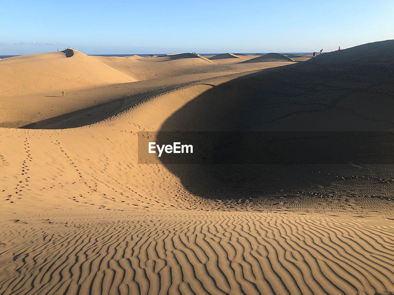 SCENIC VIEW OF SAND DUNE AGAINST CLEAR SKY