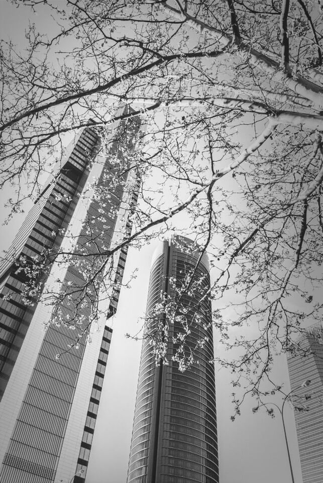 LOW ANGLE VIEW OF MODERN BUILDINGS