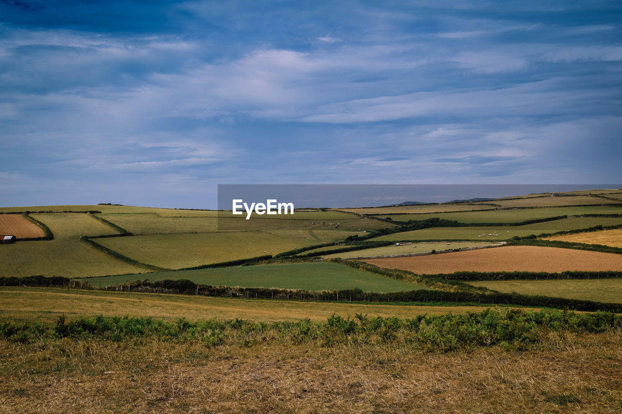 Scenic view of agricultural field against sky