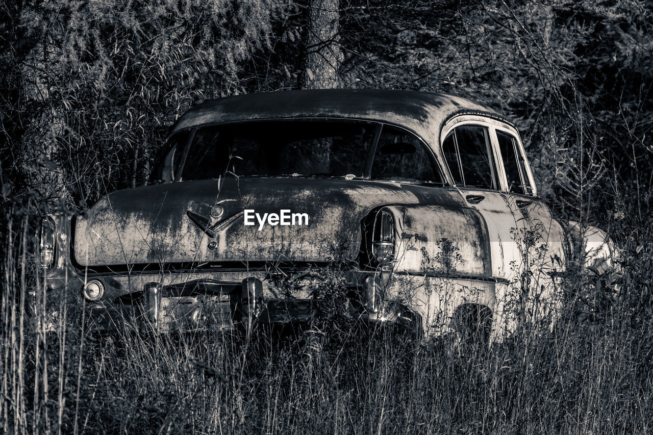 Abandoned vintage car on grassy field