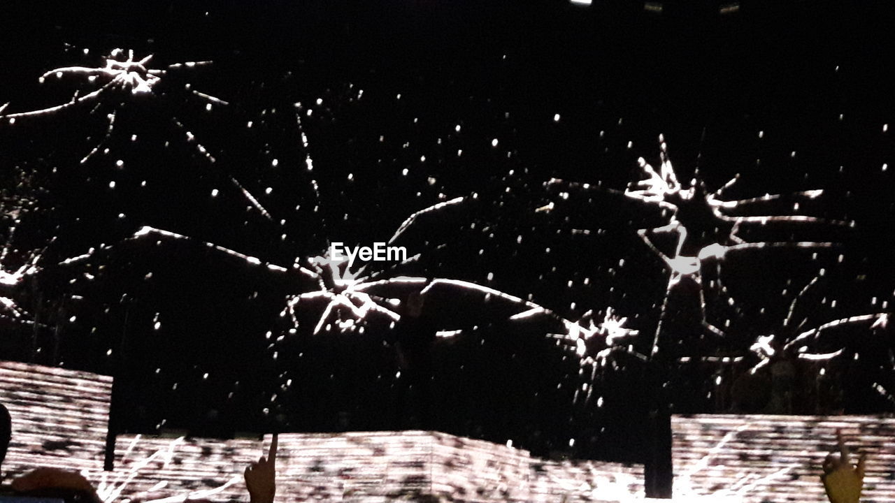 LOW ANGLE VIEW OF FIREWORKS AGAINST SKY AT NIGHT