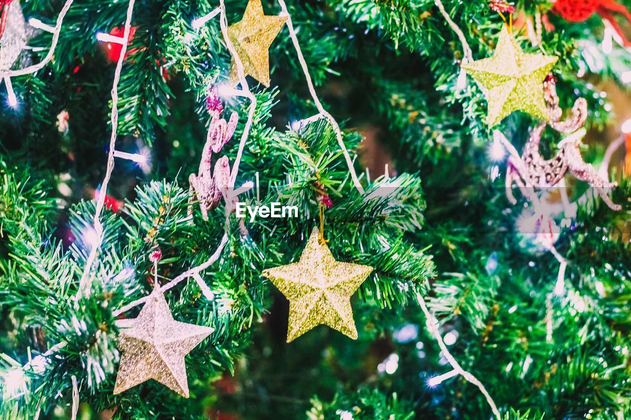 CLOSE-UP OF CHRISTMAS TREE WITH LEAVES